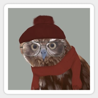 Cozy Quirky Burrowing Owl Magnet